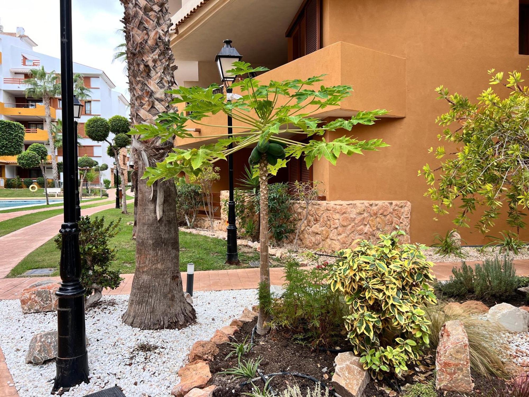 Punta Prima - Sun & Beach & Golf & Bike - Spanish South-Facing Terrace Apartment - La Recoleta - By The Sea 托雷维耶哈 外观 照片